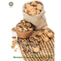 Kernuts di alta qualità kernels a colori chiari